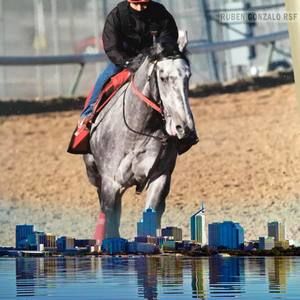 Meet your Posher, Macario